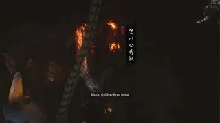 Bishui Golden-Eyed Beast Bossfight