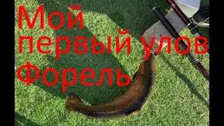 Мой первый улов форель