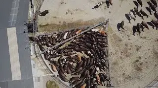 Master of Environment and Agriculture