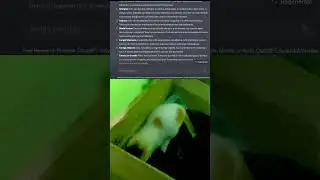 ChatGPT In Healthcare || I Used ChatGPT in Medical Treatment of my Cat 