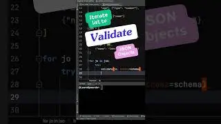JSON schema validation in Python