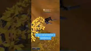 Albion Online: GOOD MORNING #chill
