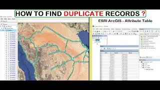 Duplicate records - Google Earth and GIS Shapefile