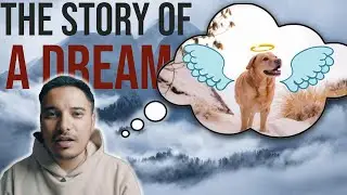 The Story of a Dream ❤️ MAX | THE HIMALAYAN HUSKY