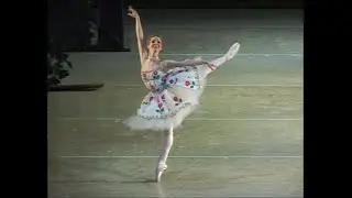 Evgenia Obraztsova - Flora Variation 2008