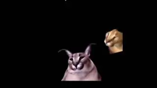 Концерт Шлёпы