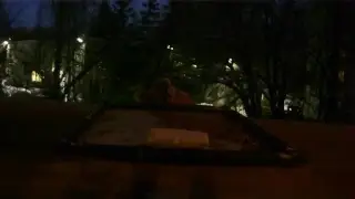 Bird feederwatch cam. Russia