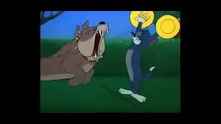 Вагос и грув