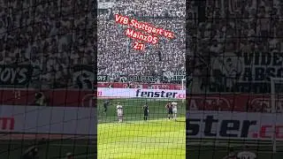 VfB Stuttgart vs. Mainz05 2:1| #mainz05 #fsvmainz05 #vfbstuttgart