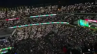 Fireflies Light Up The Stadium in Bray Wyatt Tribute at WrestleMania XL