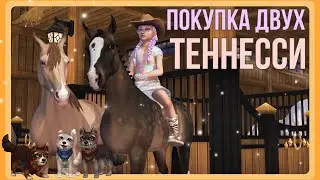 ТЕННЕССИ Х2 - покупка с Ярмарки | Star Stable