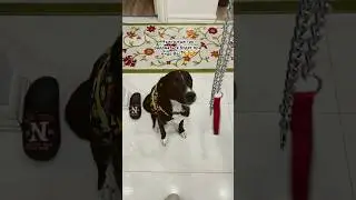 ЭТИ ГЛАЗКИ 🥹 