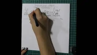 Структура экосистем Ч 2