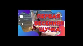 Первый весенний выезд на рыбалку на спиннинг