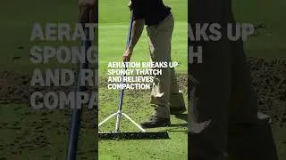 Why Do Courses Aerate Greens?