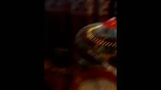 Попугайки
