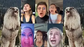 Crazy Screaming MEME