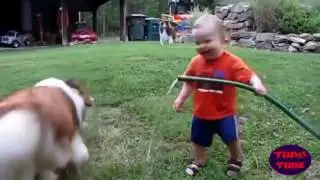 Дети и животные смешное видео Дети и собаки Animal crazy