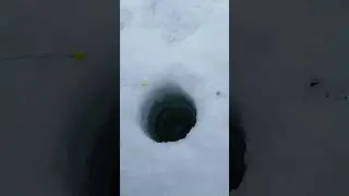 Рыбалка на окуня