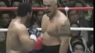 Mark Hunt V Ray Sefo