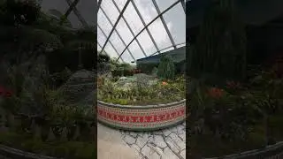 The Clouds 🌧️ Forest 🌳 Singapore 🇸🇬.