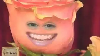 Valentines Day - Talking Flowers