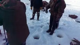 Зимовальная яма