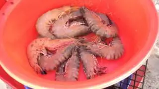 South Phu Quoc island tour