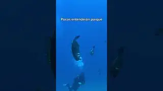 💀💀 