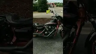 My Motorcycle is DOG Approved! | Kawasaki Mean Streak 1600