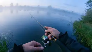 🎣 Hechtangeln für Anfänger – Hechte sicher finden & das richtige Tackle wählen 🐊🎯