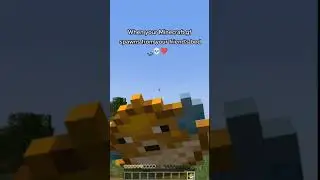 only boys will understand 💀💔 #minecraft