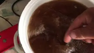I make kvass from concentrate.