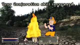 When I accidentally hit Flame Atronach in Oblivion