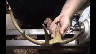 GPW 162 - Turning Antler (for a Bolt-Action Pen)
