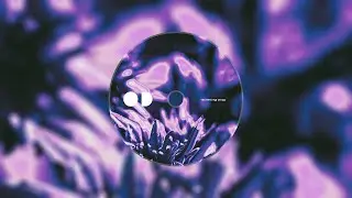 Paluma Sound - Flowerbomb