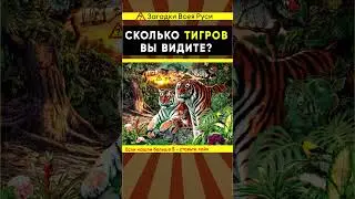 Многие терпят неудачу и могут найти только 8 тигров, но их гораздо больше Оптическая иллюзия 