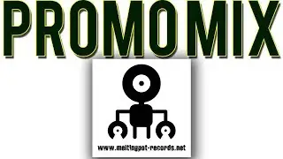 Critical Waves: Elevation LP Promo Mix [Melting Pot Records]