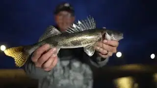 Catching Limits Of Early Spring Walleye On The River
