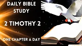 2 Timothy 2 | Daily Bible Study | Daily Bible Reading | One Chapter a Day
