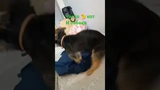 азах