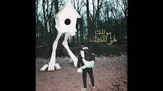 Tamman - مو الك هي للديب | (prod. Vin)