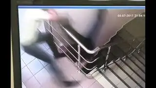 Побег Века.Весь мир говорит про это видео!
