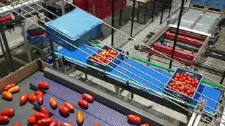 20190809 141859