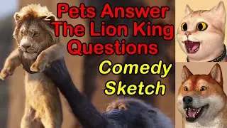 3D Comedian Pets Review The Lion King (2019)