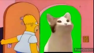Popcat scares Homer