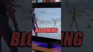 Acabou o Blooming nas TVs? - Samsung QN85D