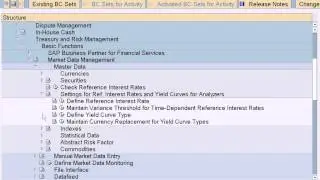 SAP Treasury and Risk Management Configuration  - Define Yield Curve Type