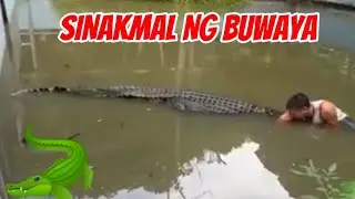 Sinakmal Ng buwaya