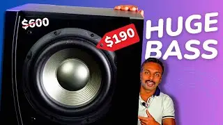 JBL 550P BUDGET Subwoofer Review 2023